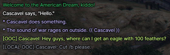 The chat